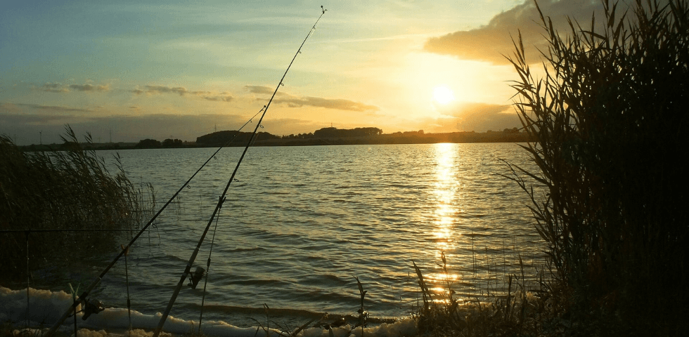 釣り竿の画像